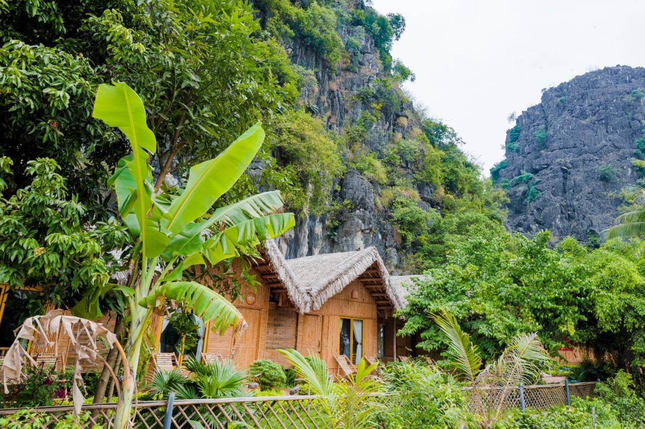 Tam Coc Horizon Bungalow Ninh Binh Eksteriør billede